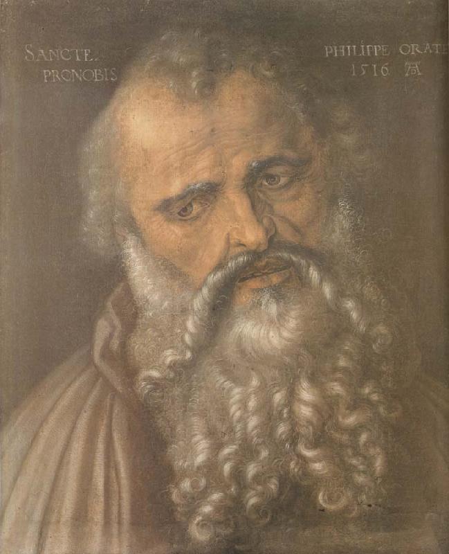 Albrecht Durer Head of the Apostle Philip France oil painting art